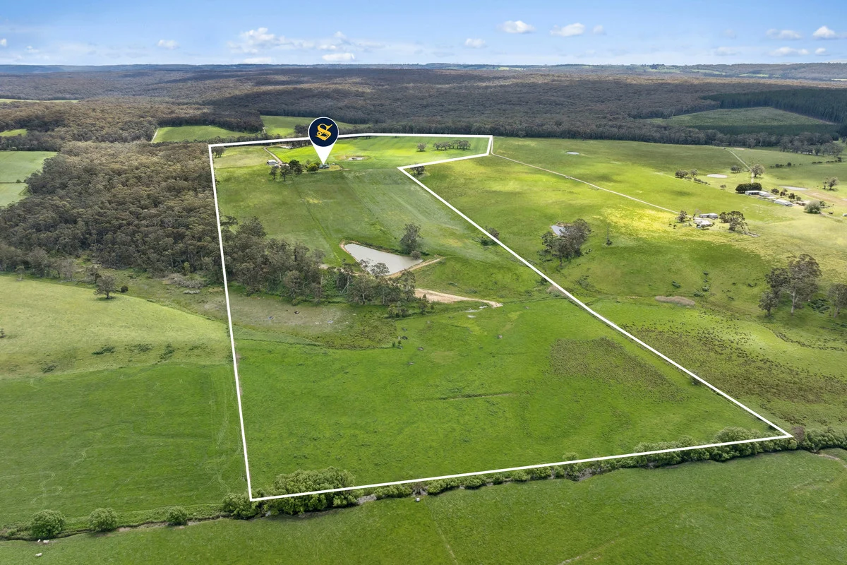 Image 32