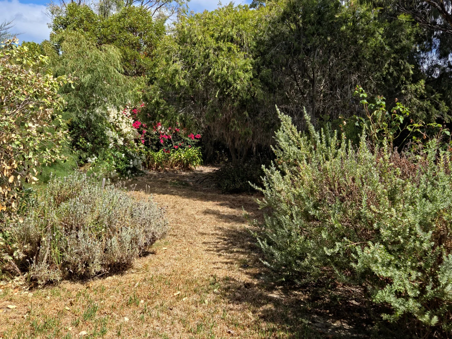 Additional image 54 of 17 Birdwood Street, Hopetoun WA 6348