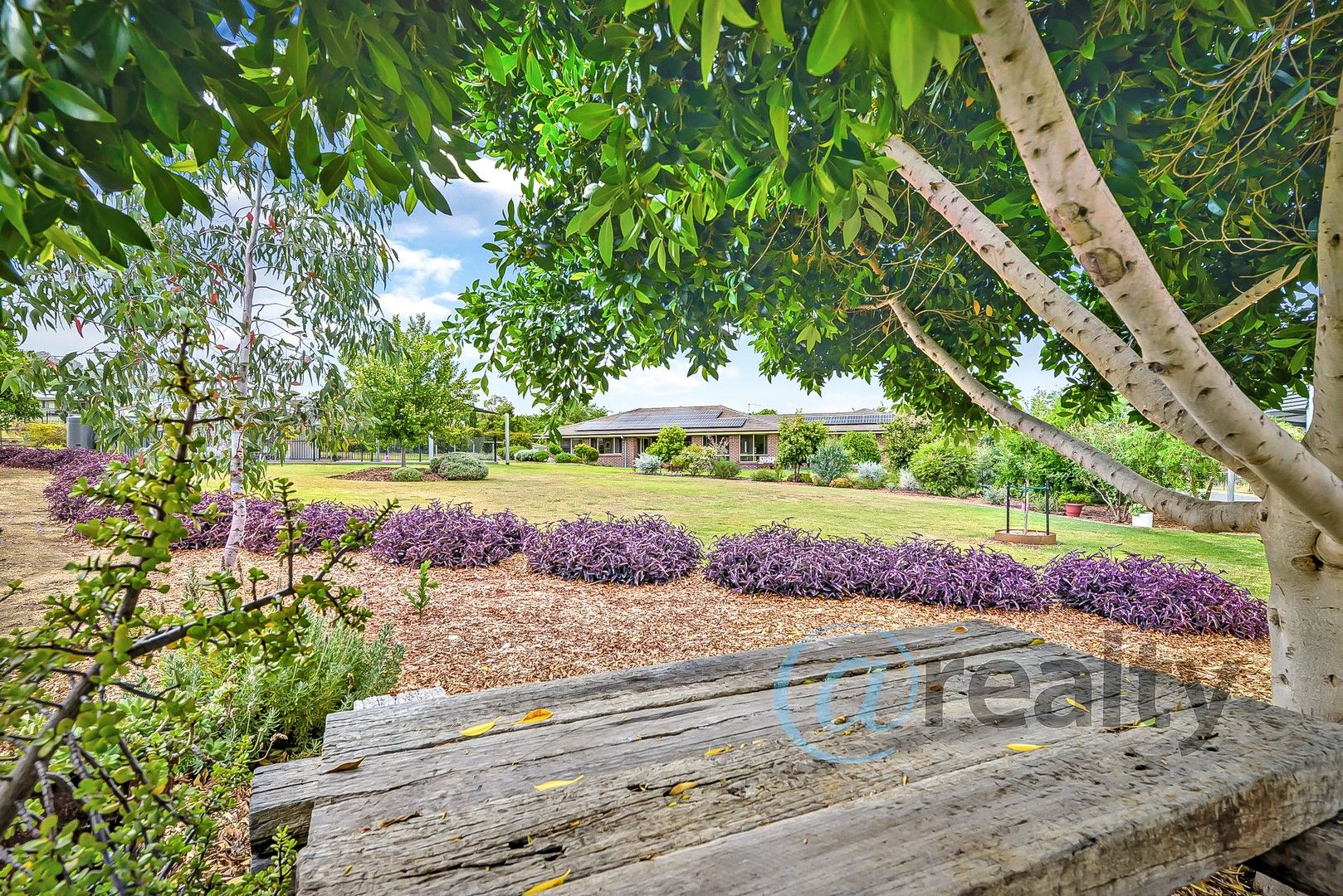 24 Daintree Circuit, Moore Creek NSW 2340, Image 0