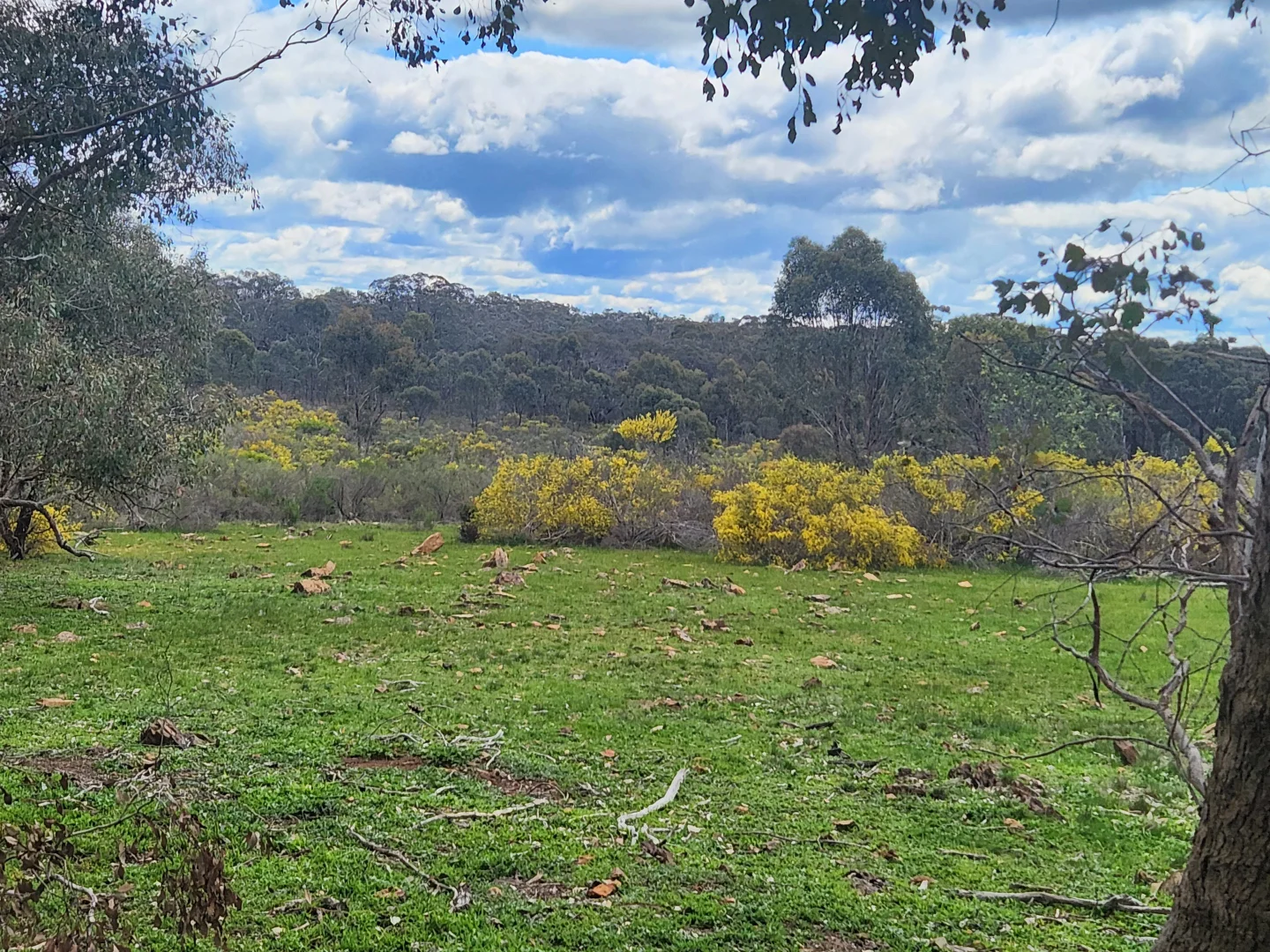 Image 15