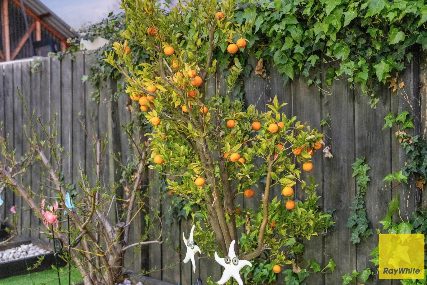 Additional image 21 of 1A Kempton Court, Seabrook VIC 3028