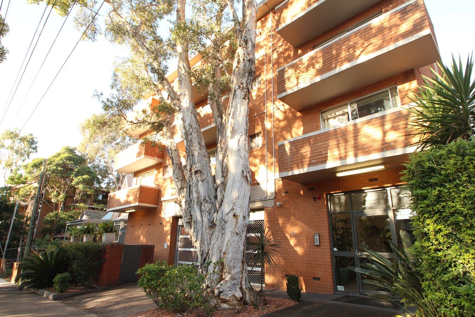 3/95-97 Annandale Street, Annandale NSW 2038, Image 0