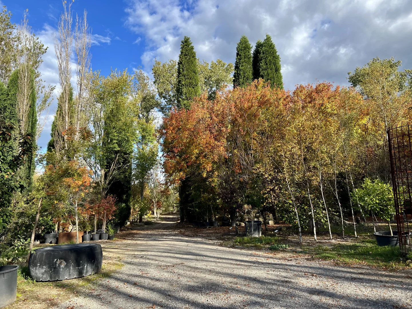 Additional image 17 of 41 Oxleys Hill Road, Bowral NSW 2576