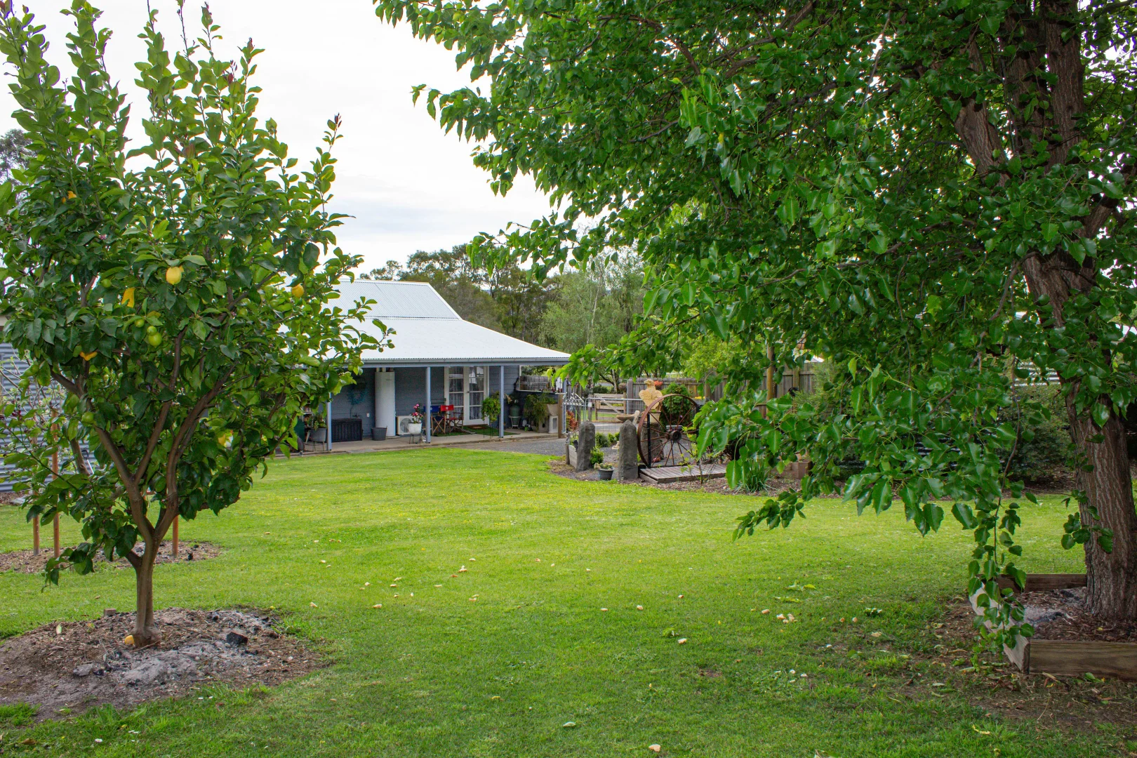 Image 22