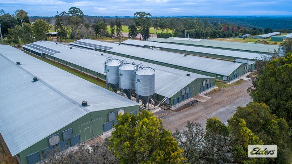 Rural in Blood Tree Road, MANGROVE MOUNTAIN NSW, 2250