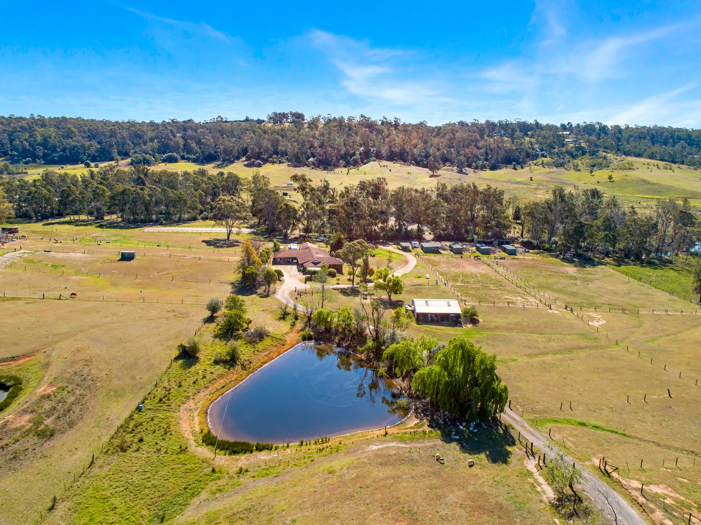 129 Mckee Road, Theresa Park NSW 2570 House for Sale 1,799,999
