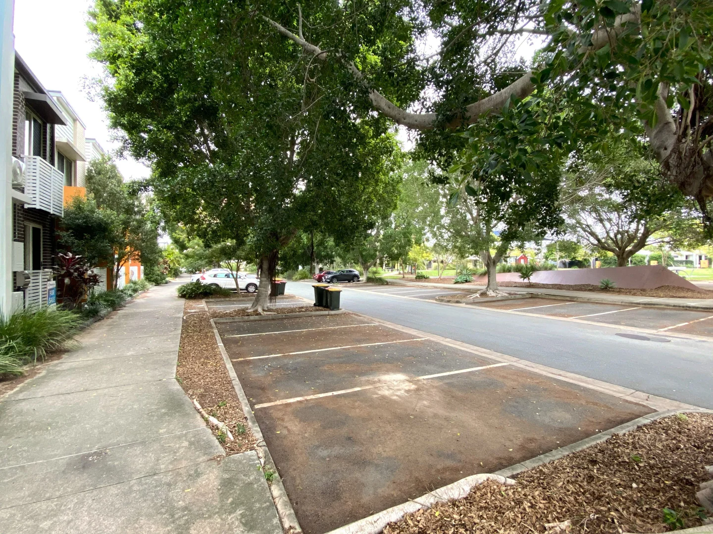 Image 13