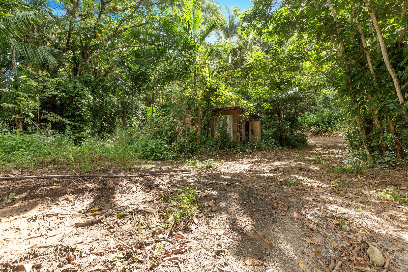 686 Whyanbeel Road, Whyanbeel QLD 4873, Image 1