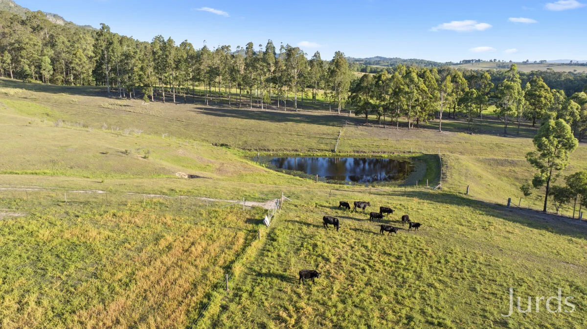 Additional image 5 of 482B Lambs Valley Road, Lambs Valley NSW 2335