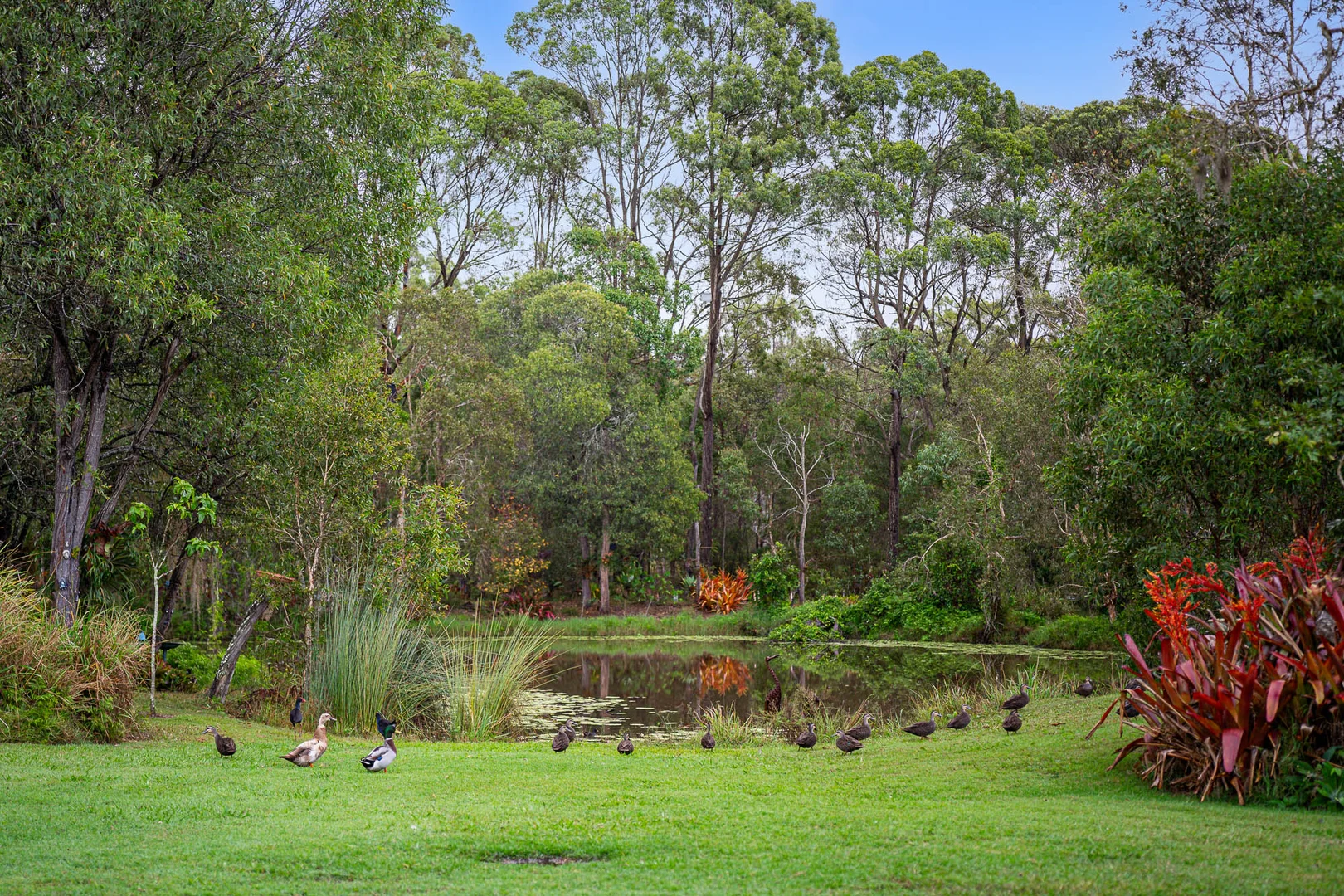 Image 30