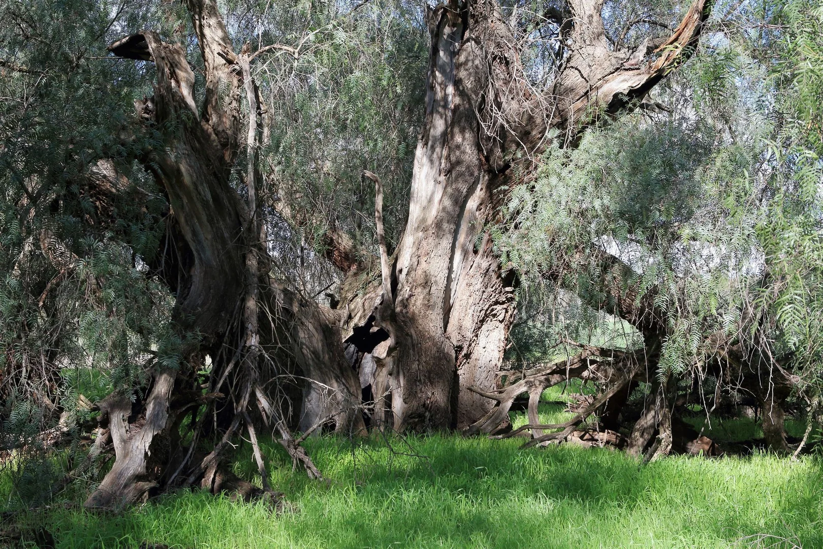 Image 13