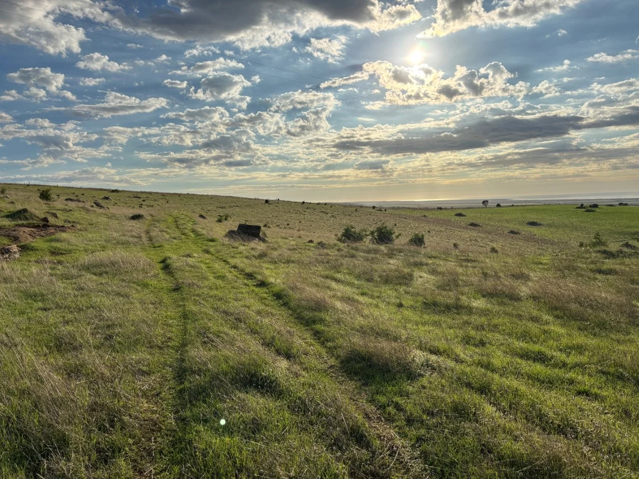 Additional image 18 of Lot 42 Harvey Well Road, Tumby Bay SA 5605