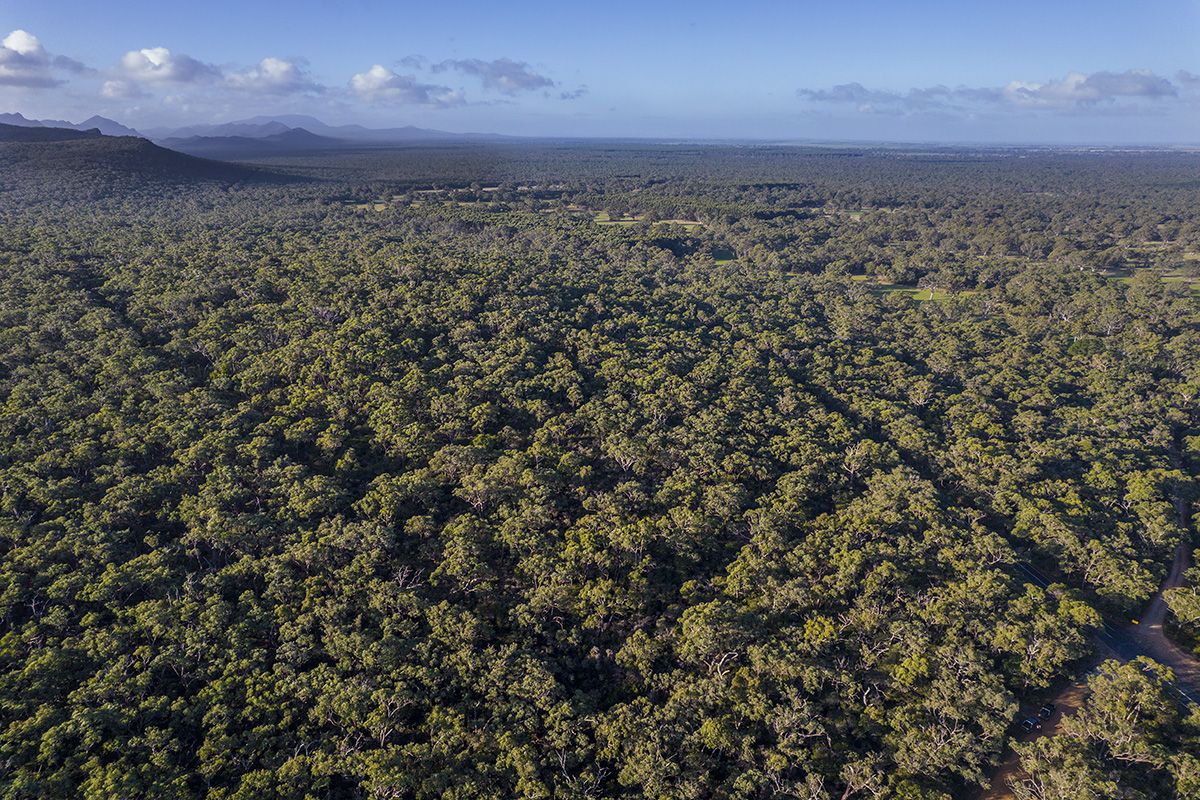 Grampians Road, Bornes Hill VIC 3379, Image 1