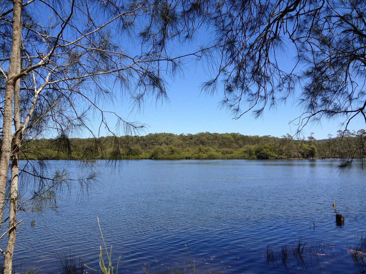 The Branch NSW 2425, Image 0