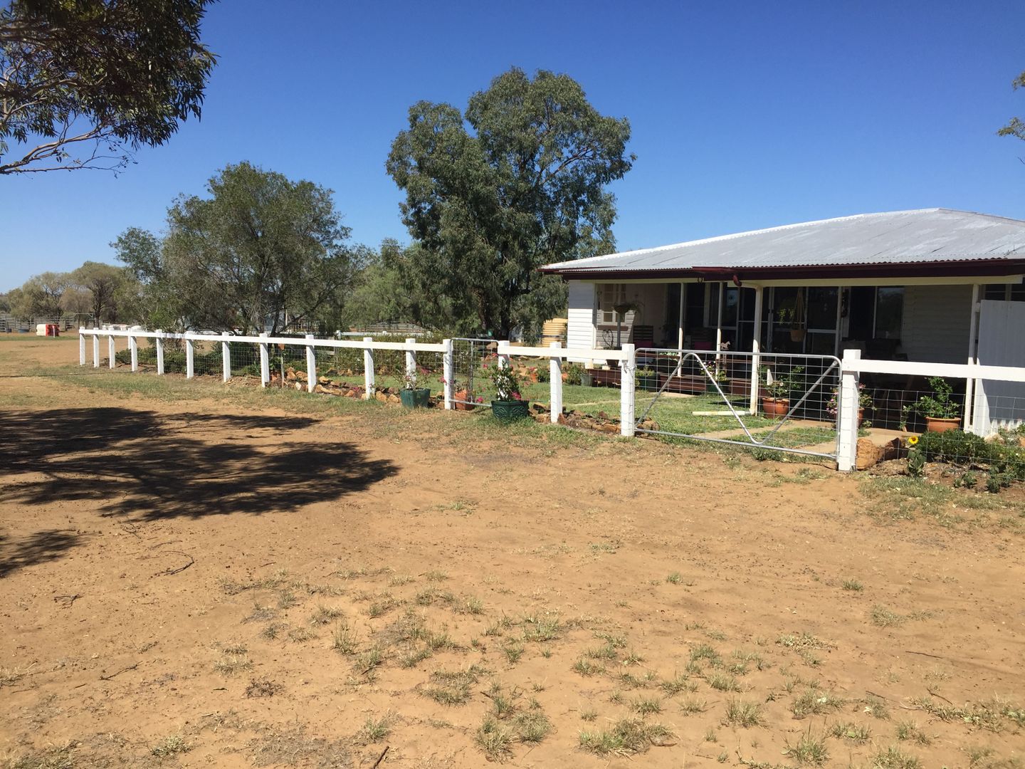 Roma QLD 4455 House for Sale Domain