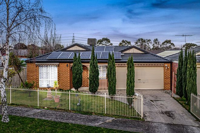 Picture of 14 Glenaire Crescent, CRANBOURNE WEST VIC 3977