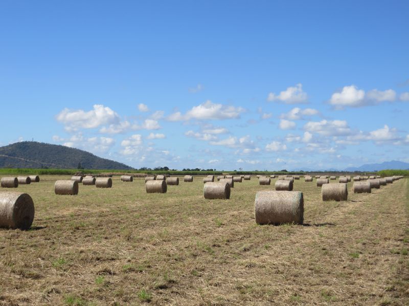 Home Hill QLD 4806, Image 1