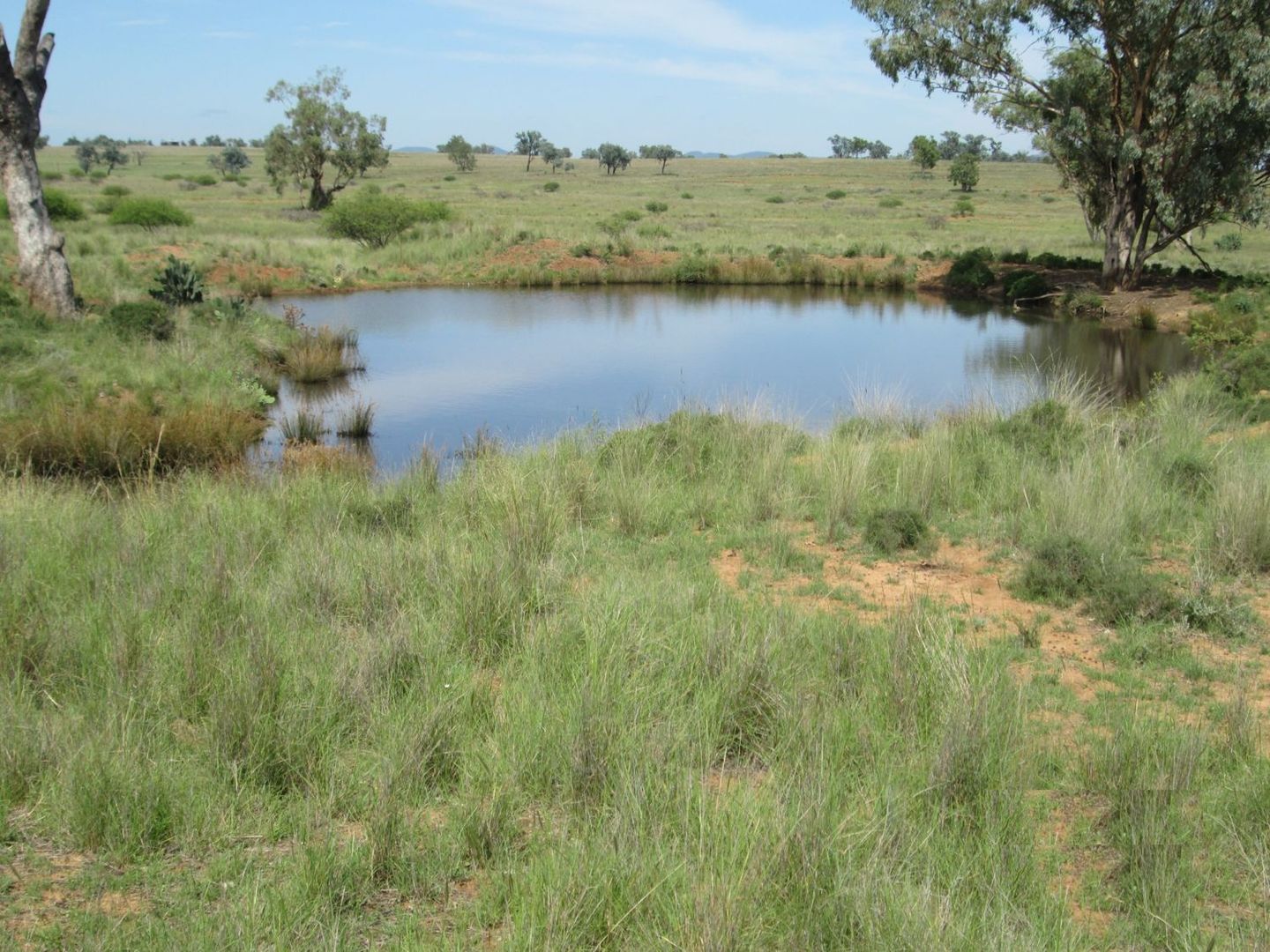 "Esmadale", Warialda NSW 2402, Image 2