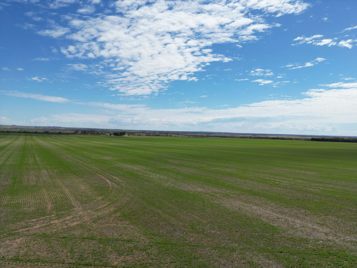 Additional image 3 of S496 James Road, Kulpara SA 5552