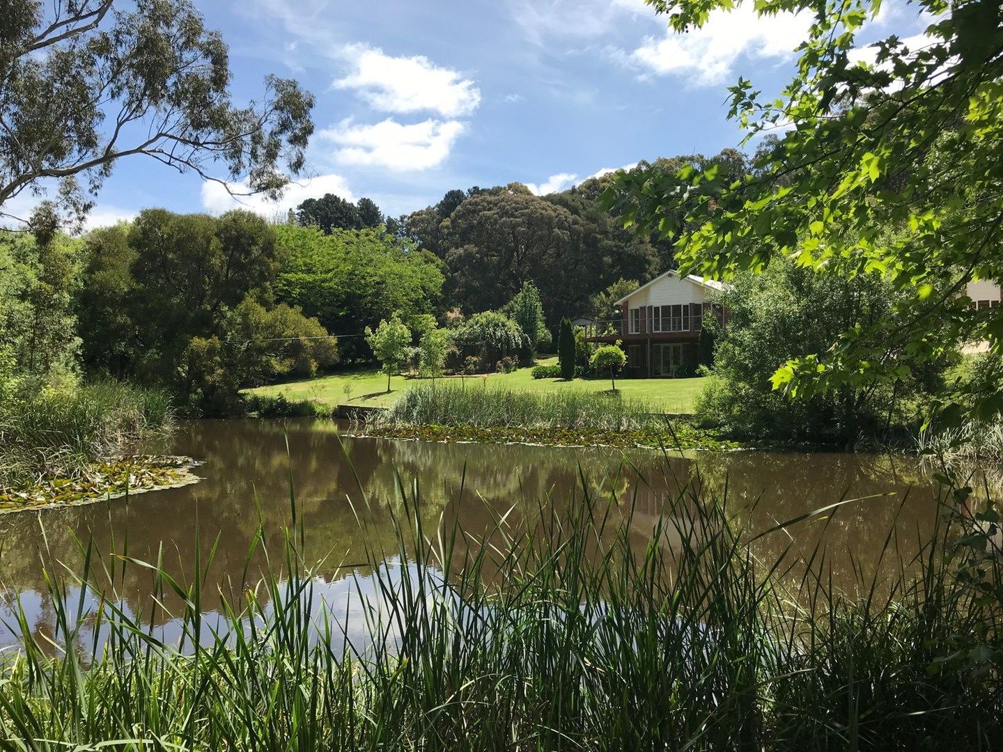 134 Gum Flat Road, Carey Gully SA 5144, Image 0