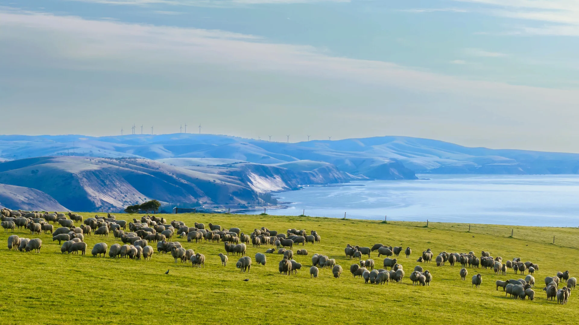 Additional image 10 of Lot 51 Smith Hill Road, Carrickalinga SA 5204