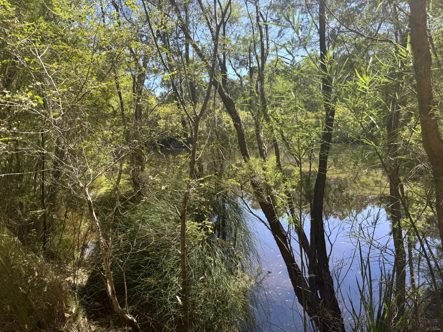 Additional image 21 of 75 Hawke Road (Yeagarup), Pemberton WA 6260