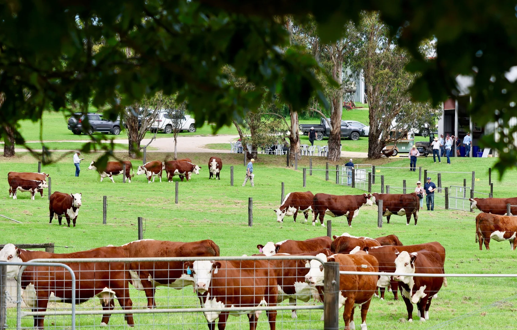 Additional image 12 of 103 Kellys Road, Longford VIC 3851