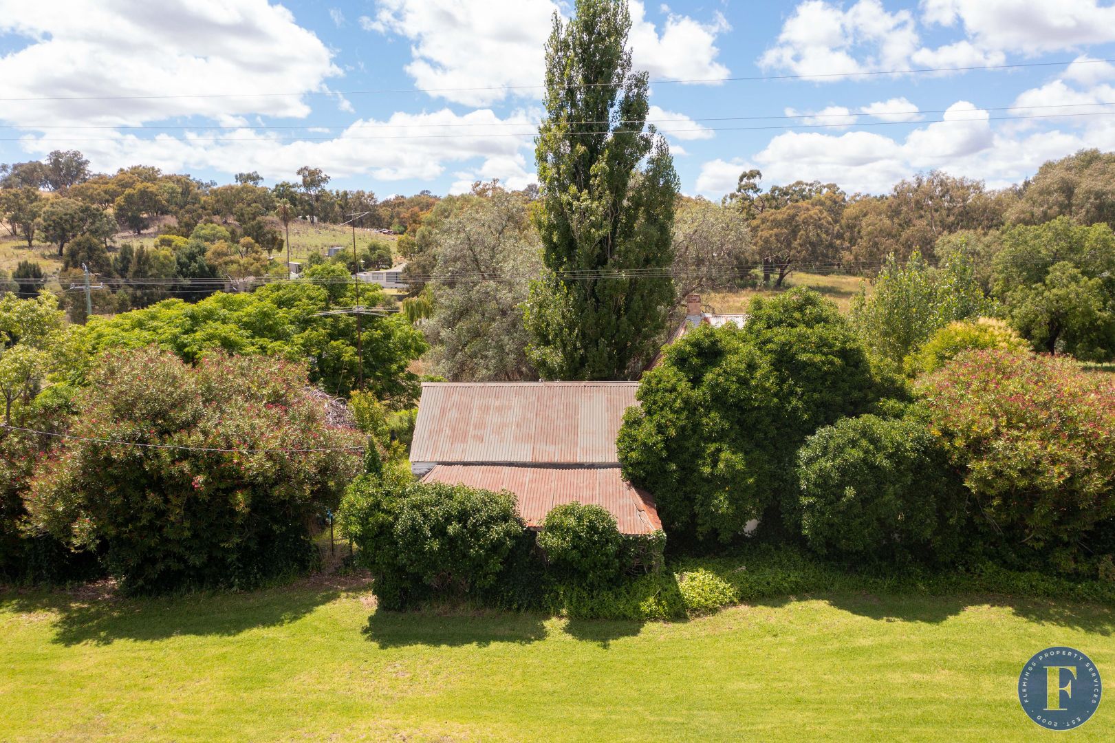 2254 Murringo Road, Murringo NSW 2586, Image 2