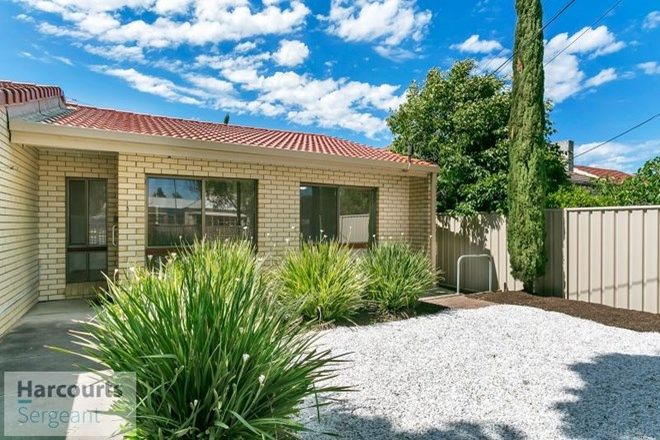 Picture of 3/416 Anzac Highway, CAMDEN PARK SA 5038