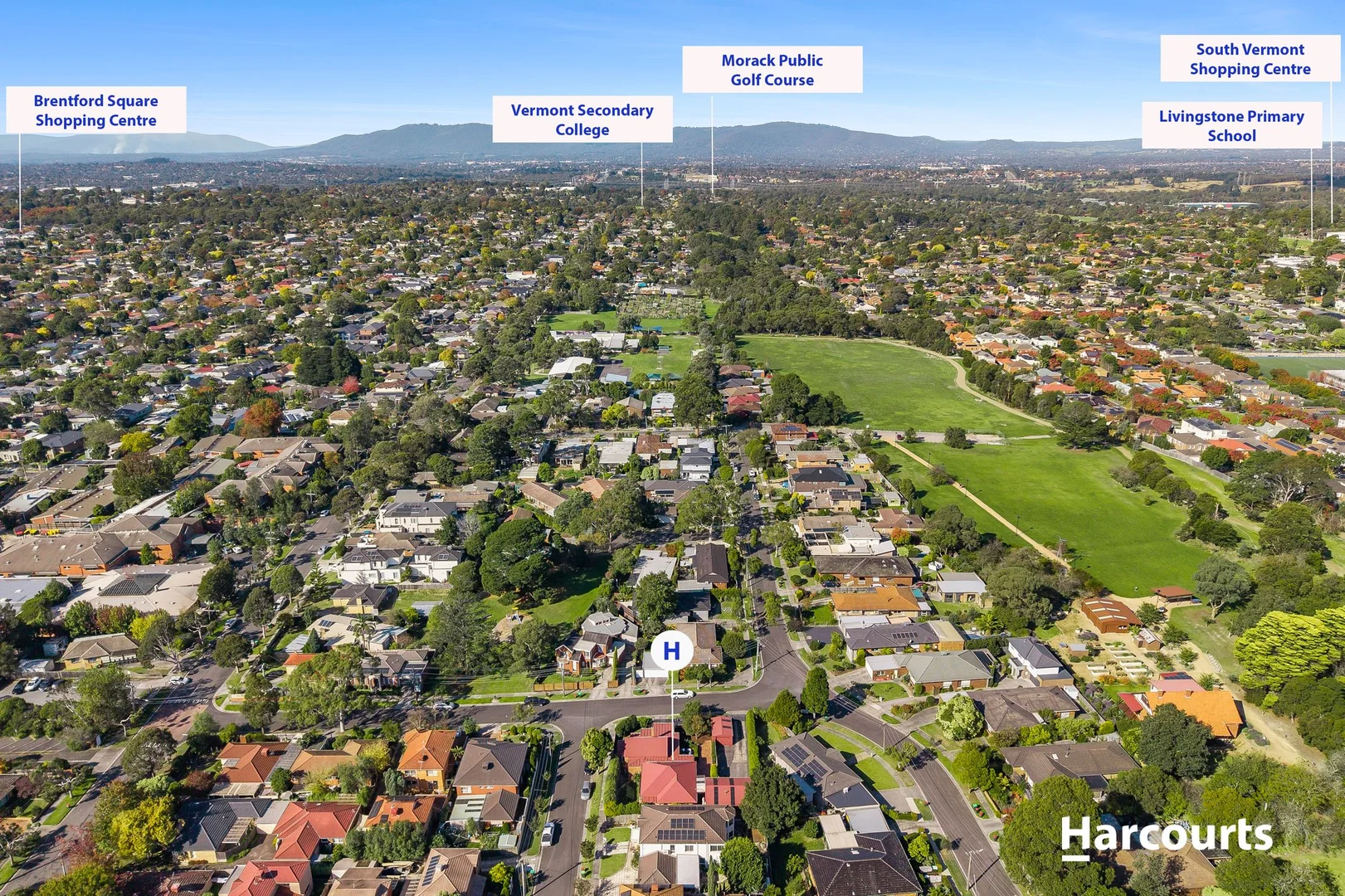 Image 16