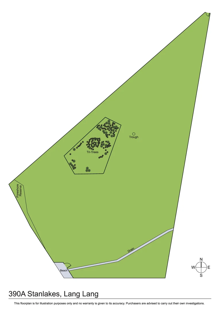 Image 19
