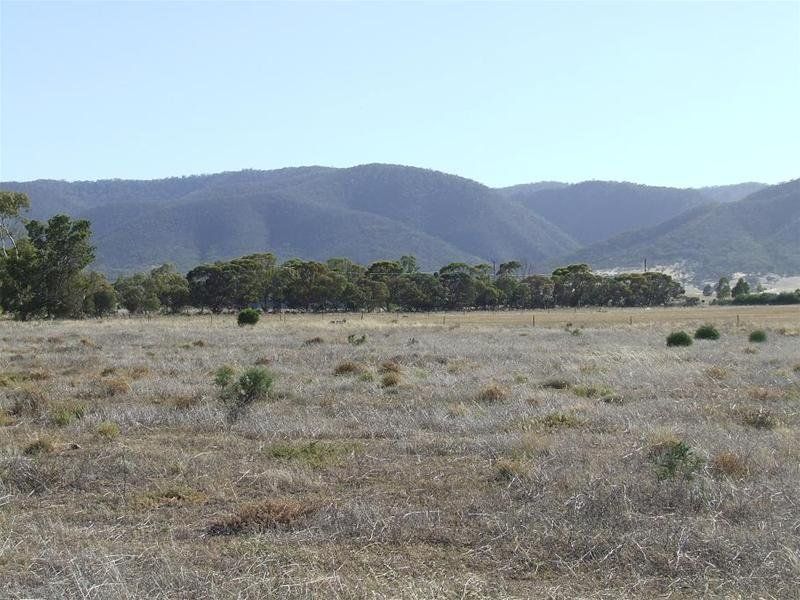 Lot 11 Muster Drive, Napperby SA 5540 Vacant Land for Sale Domain