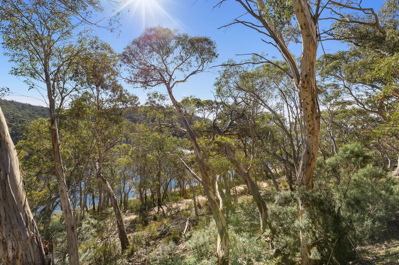 Image 15