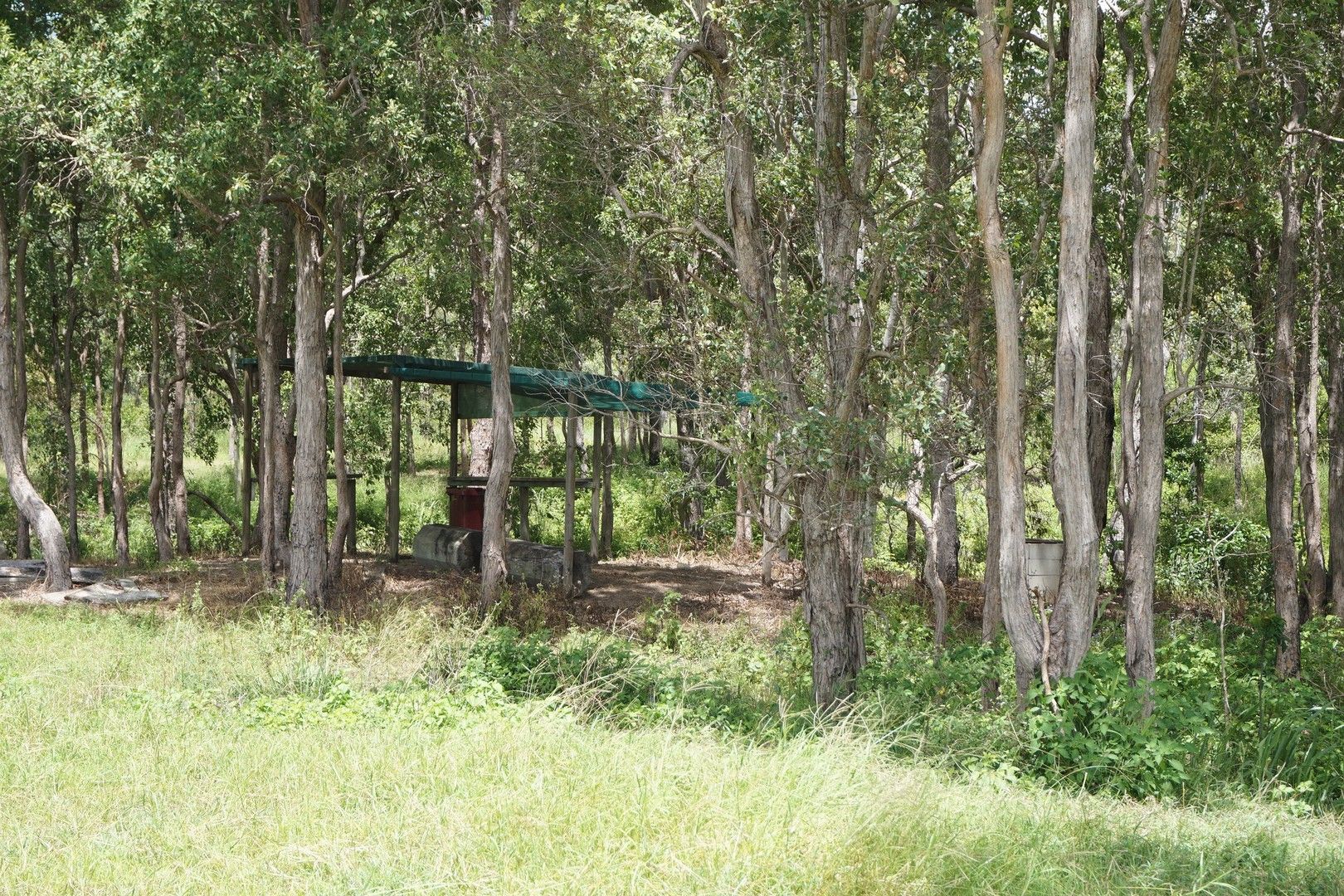 Lot 101 Ball Street, Hazledean QLD 4741, Image 0