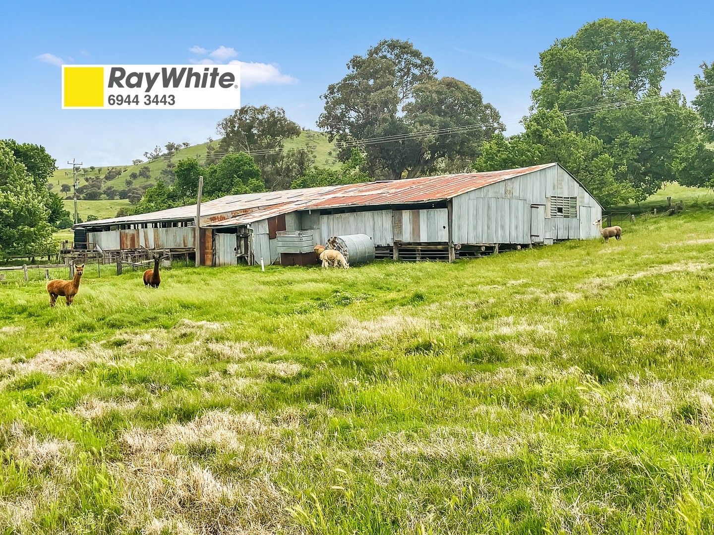 34 Reno Road, Gundagai NSW 2722, Image 0