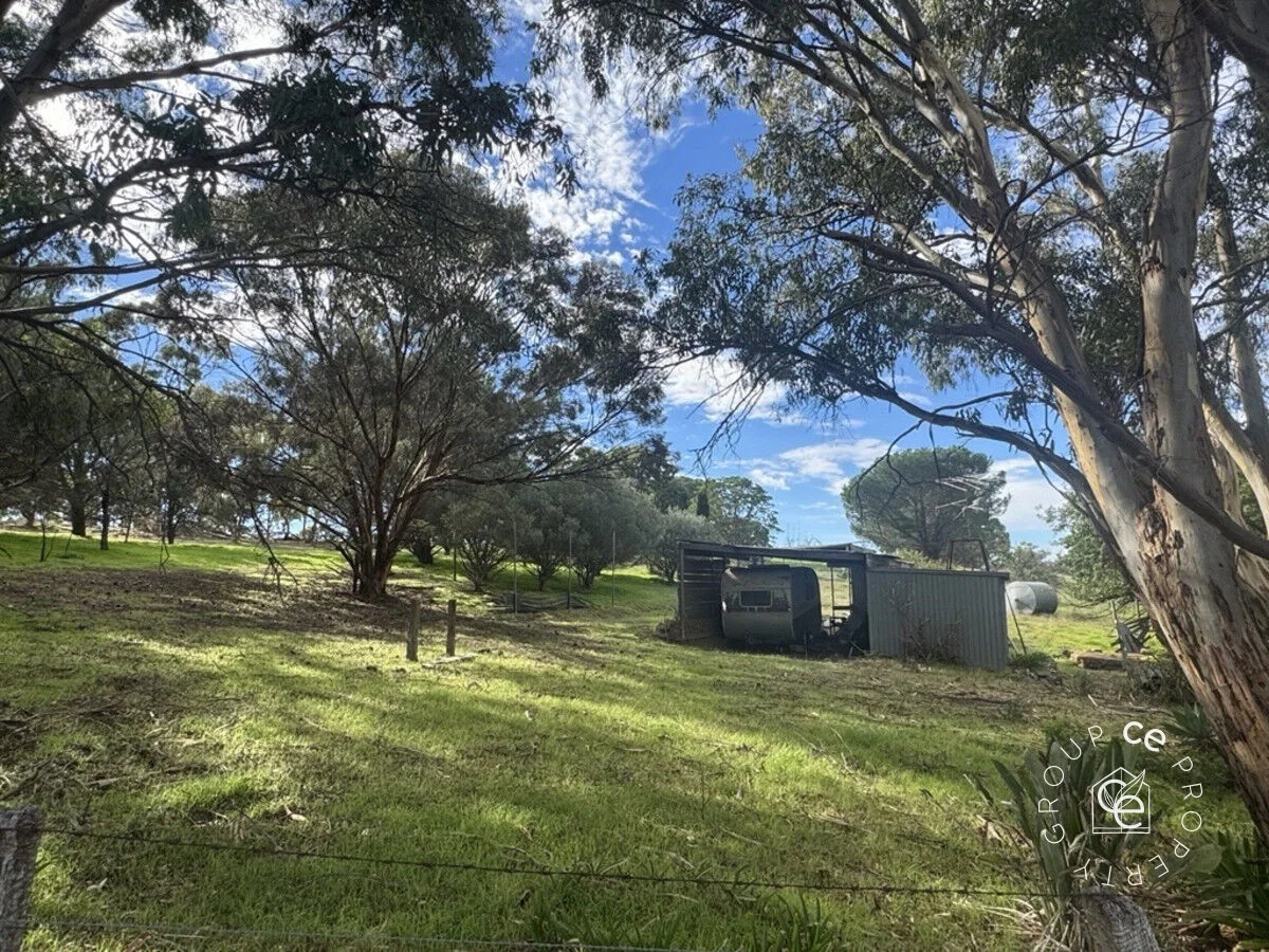 Image 18