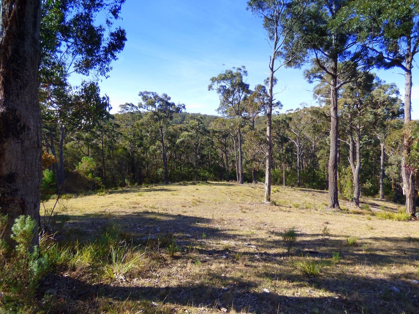 Lot/282 Komirra Drive, Eden NSW 2551, Image 2