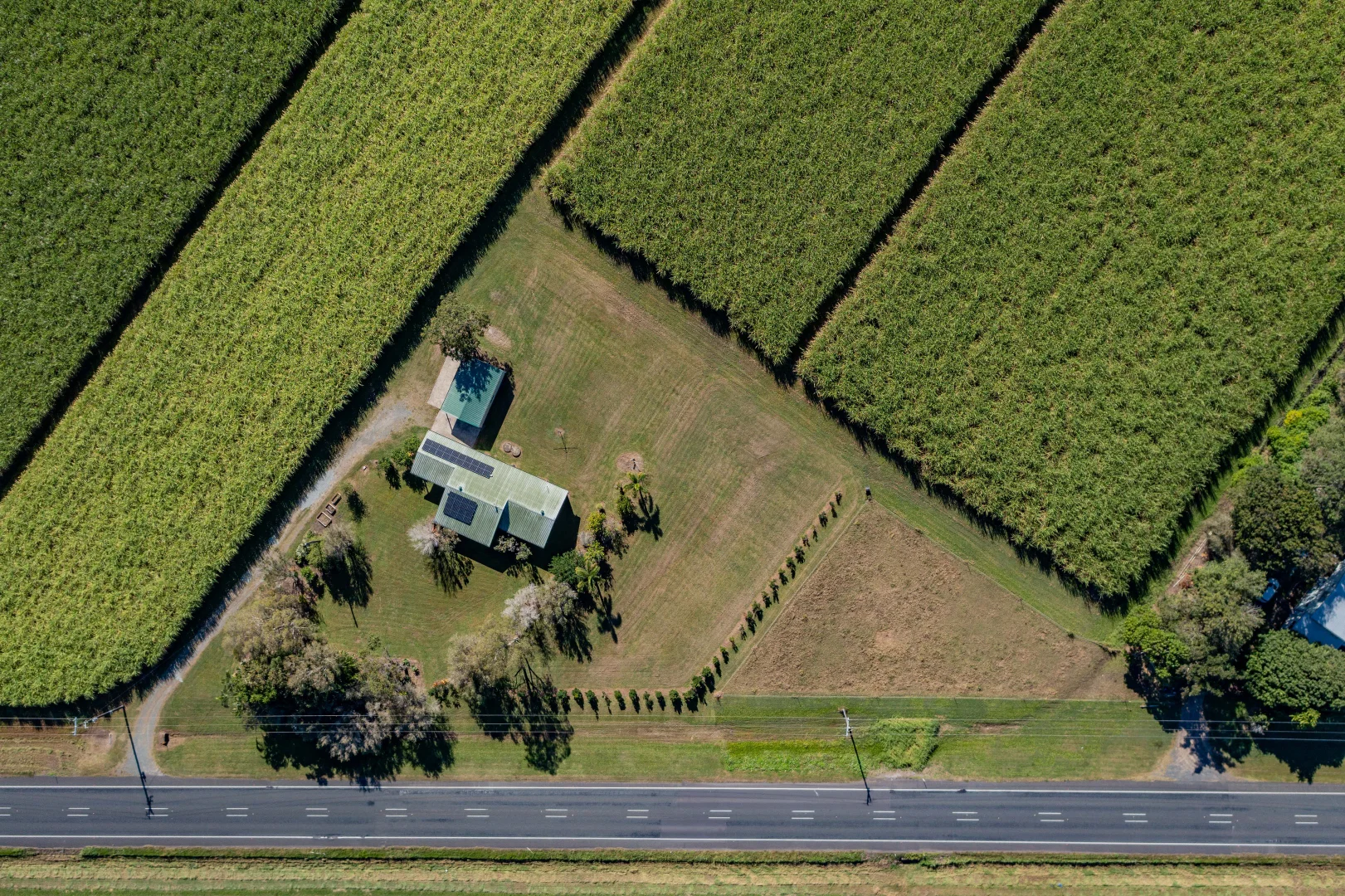 Image 15