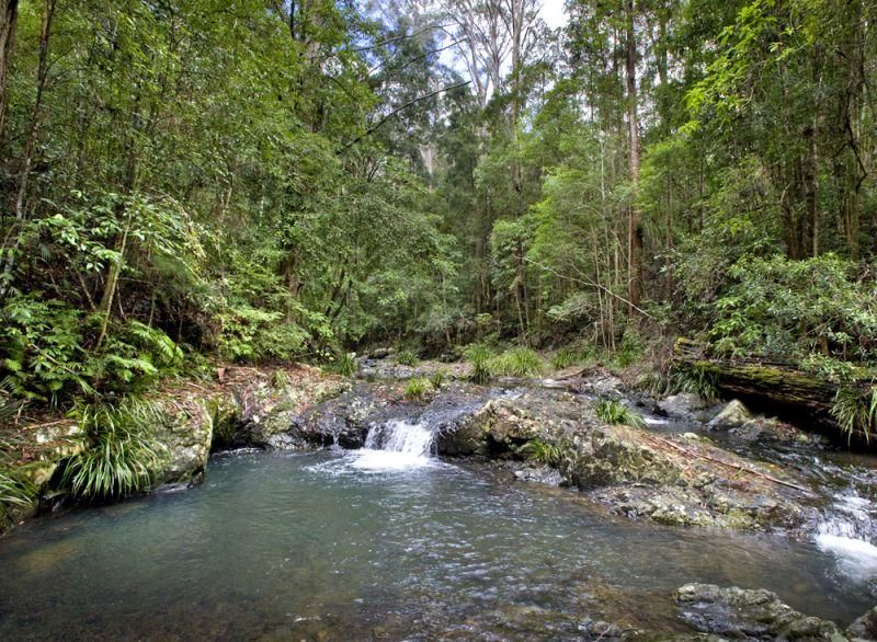 Dingo Creek Rd, Upper Orara NSW 2450, Image 0