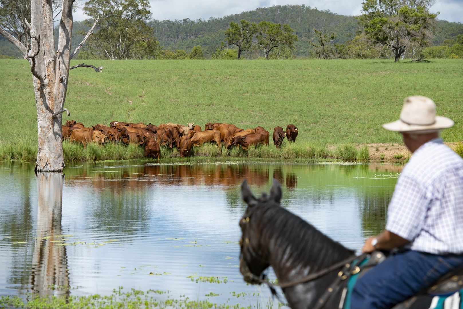 'Agnesvale' Agnesvale Road, Childers QLD 4660, Image 0