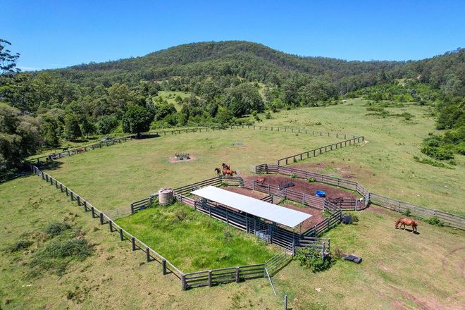 Picture of 262 Wallaby Joe Road, WINGHAM NSW 2429