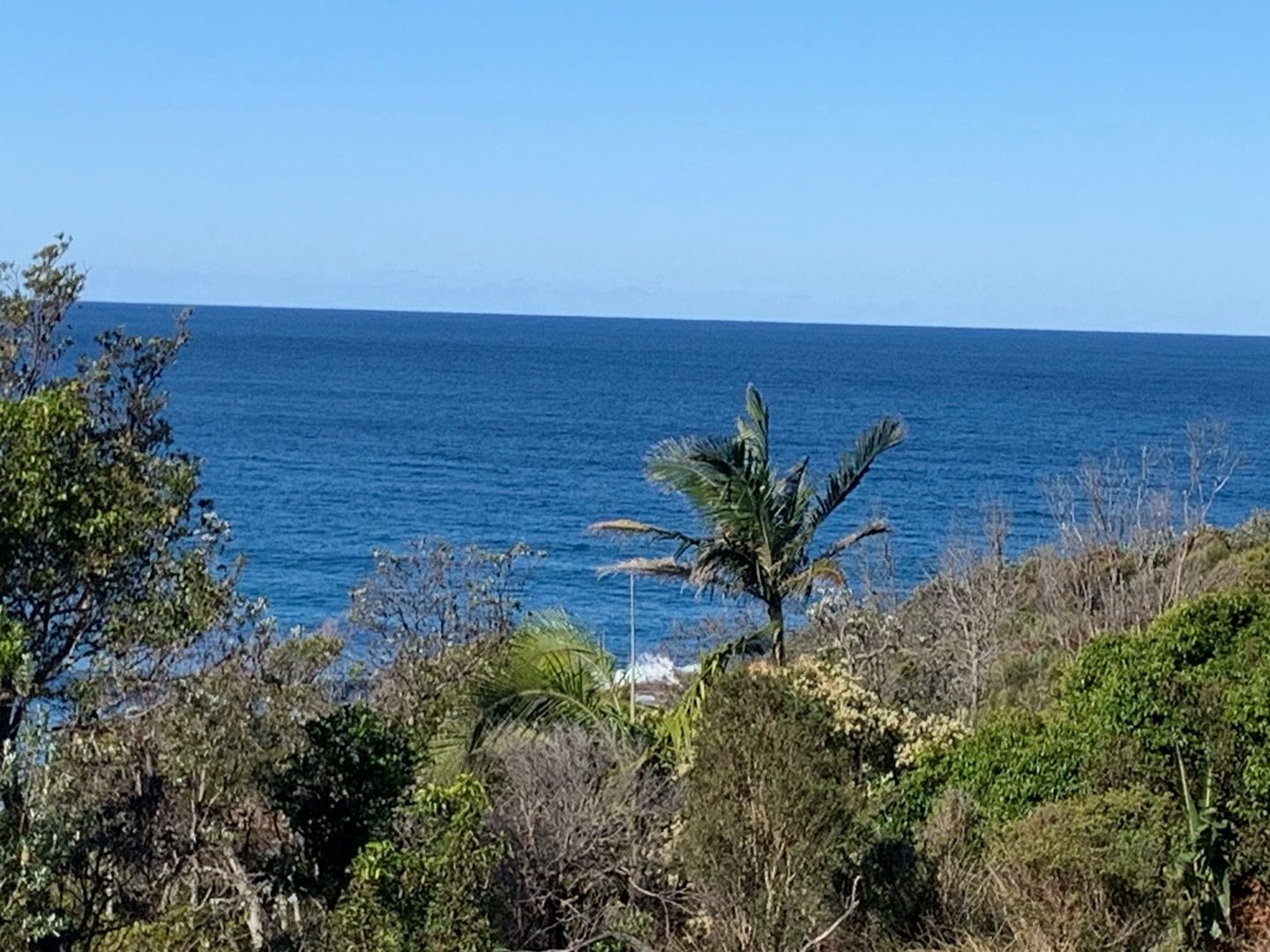 20 Honeysuckle Road, Bonny Hills NSW 2445 House For Rent Domain