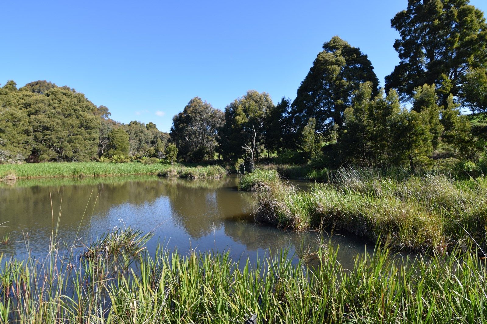 920 Murchison Highway, Elliott TAS 7325, Image 1