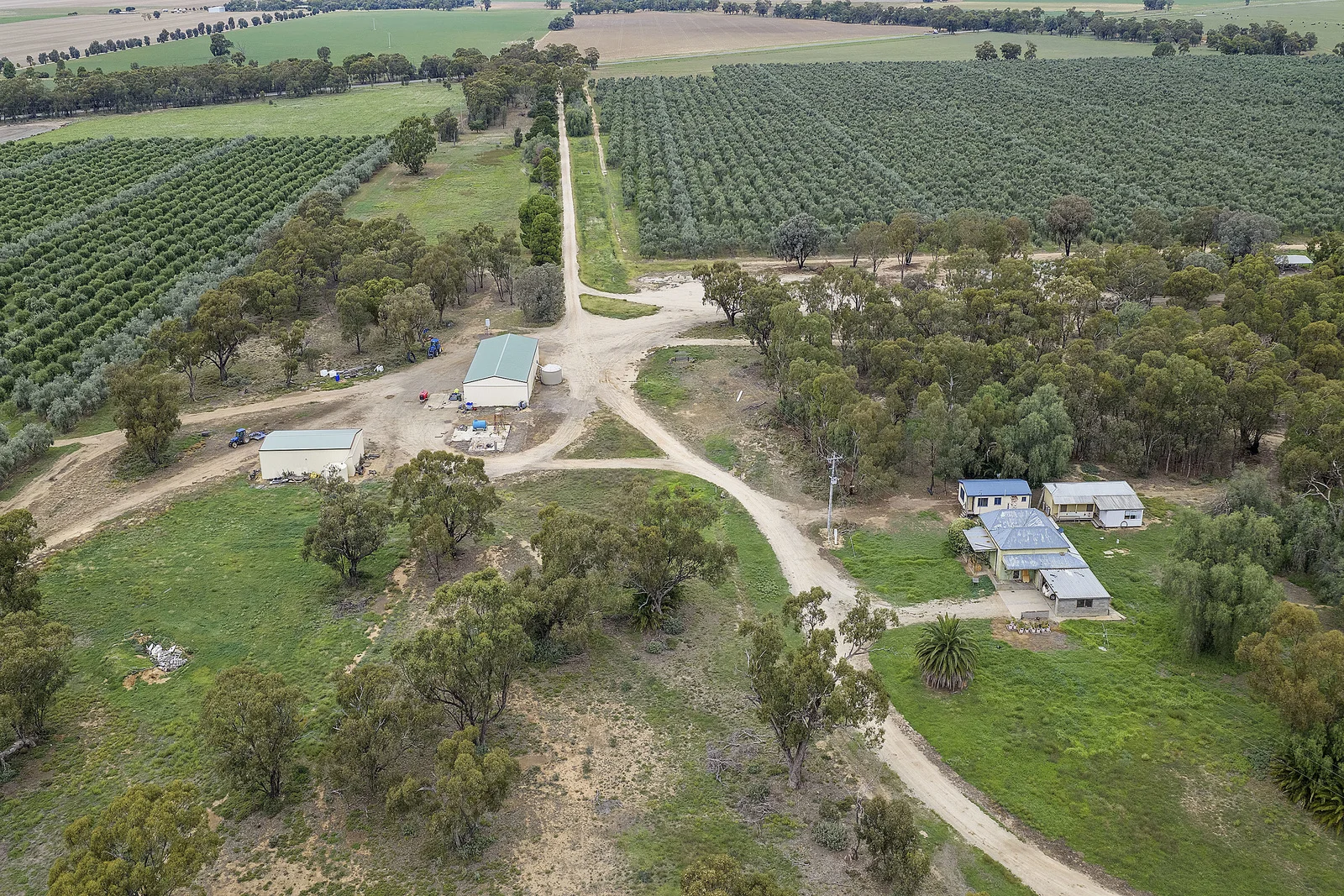 Image 12