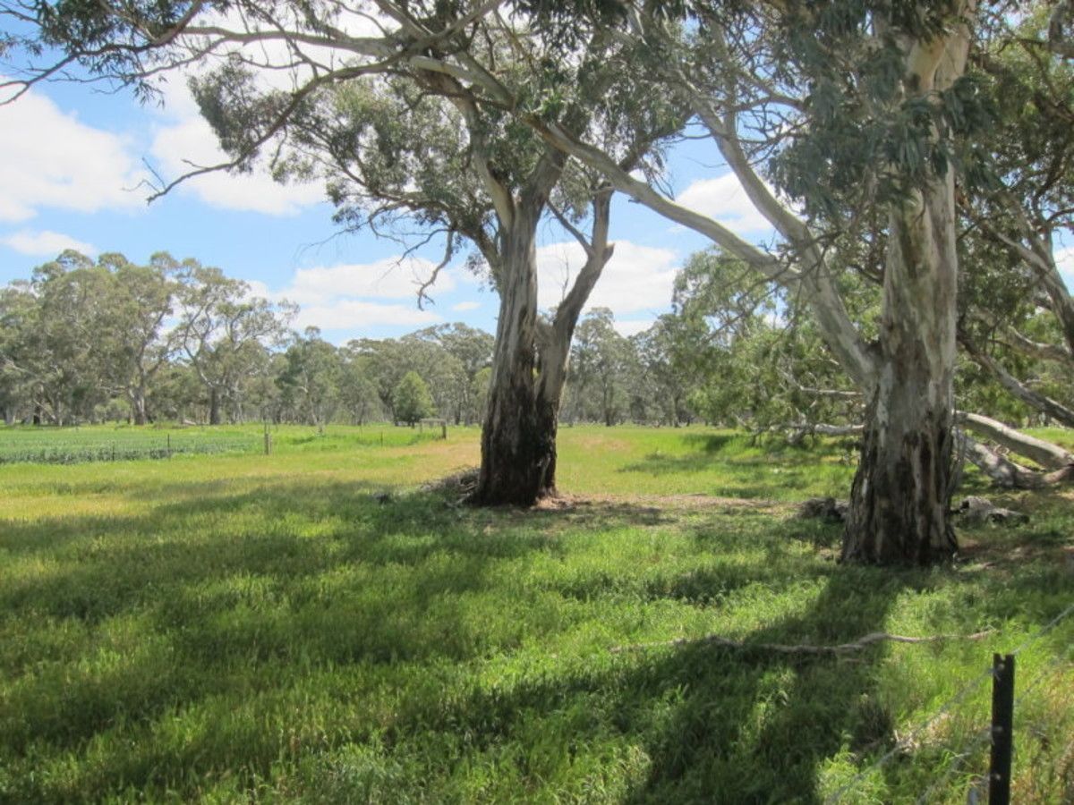 Sec 2994 Research Road, Nuriootpa SA 5355, Image 0