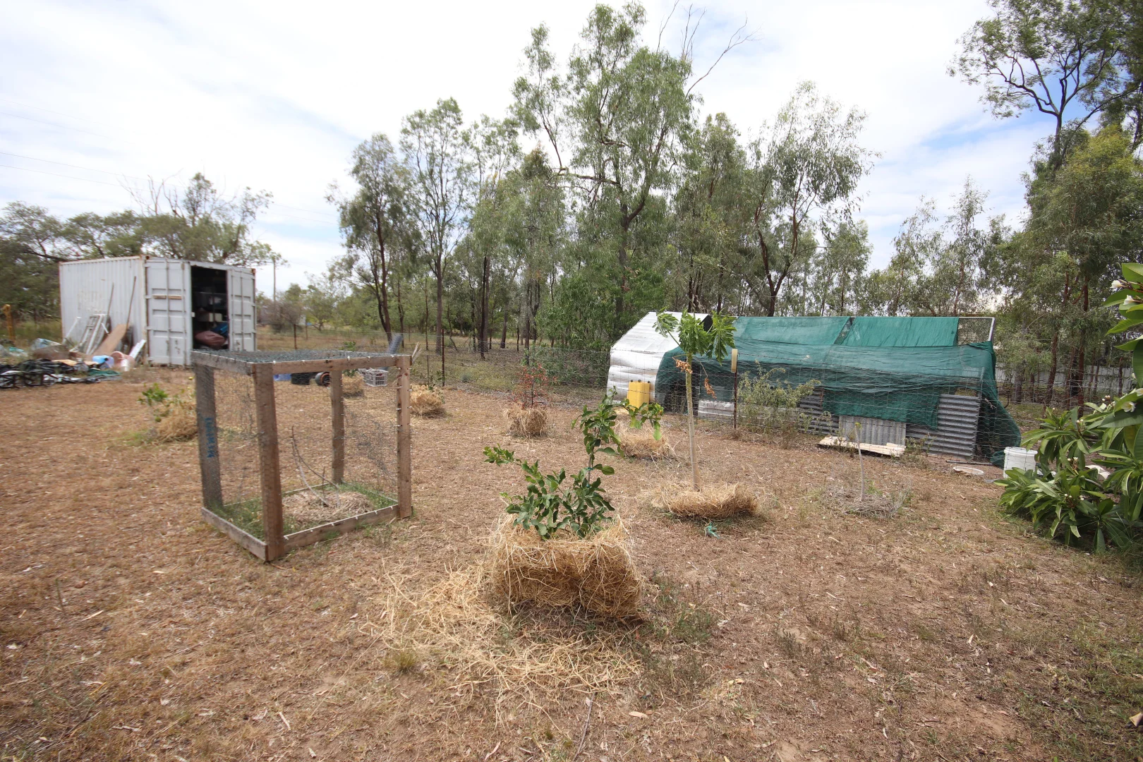 Image 14