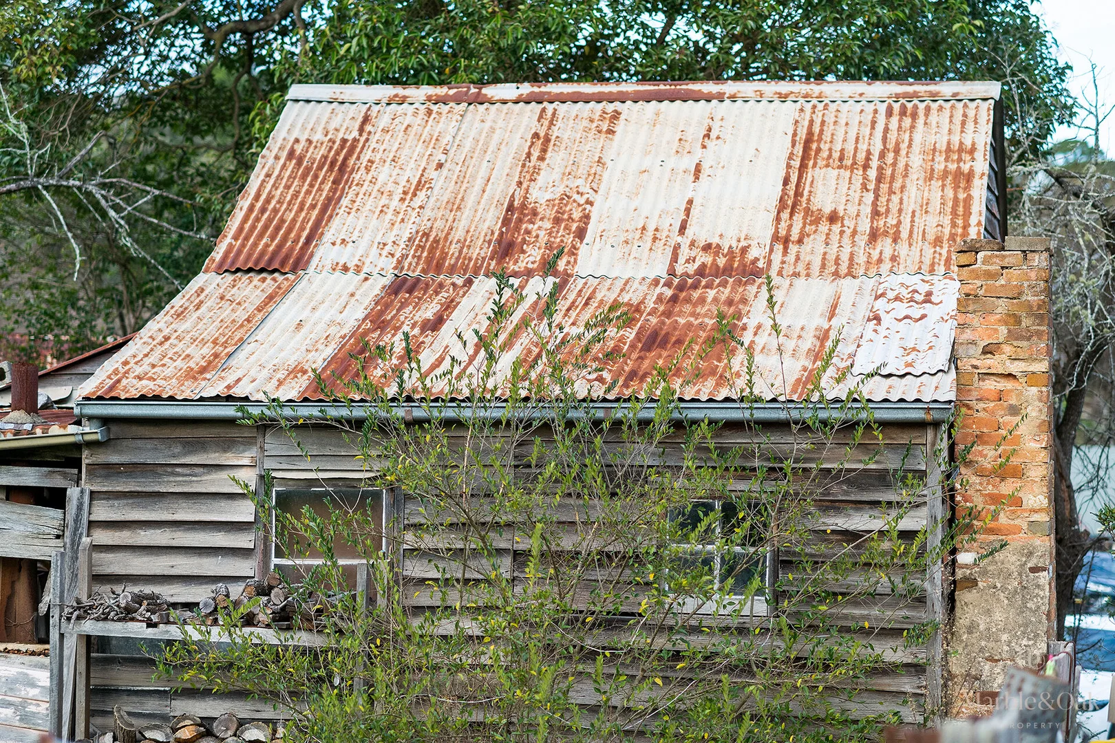Image 12