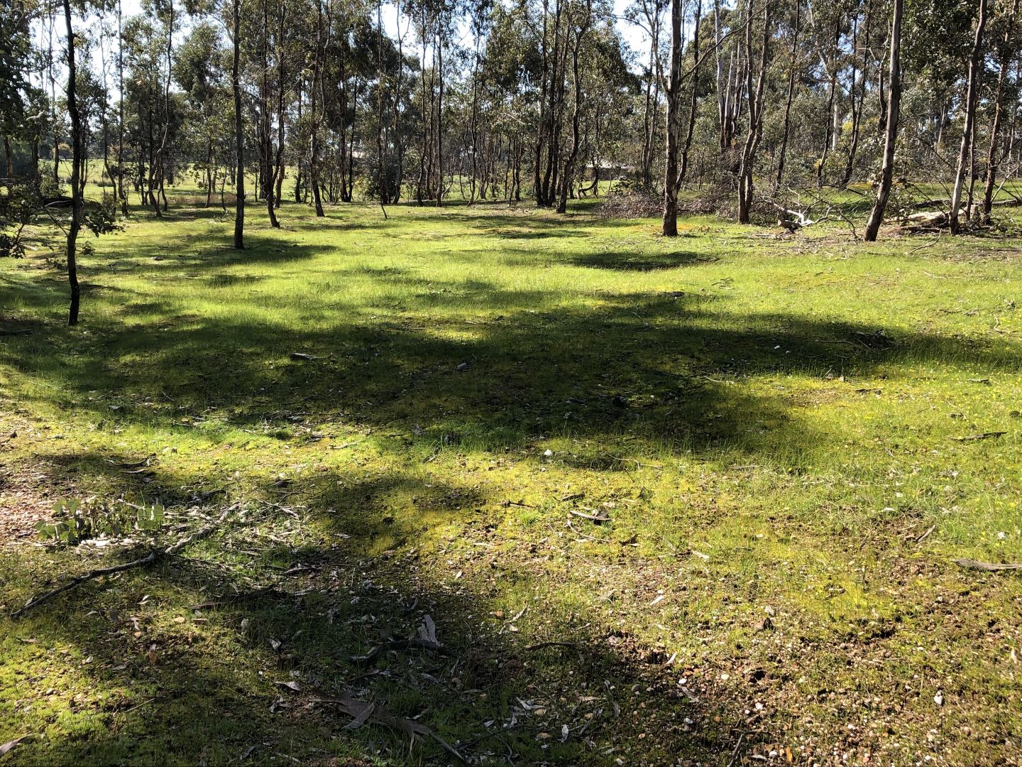 Lot 13H 78 Dairy Flat Road, Heathcote VIC 3523, Image 1