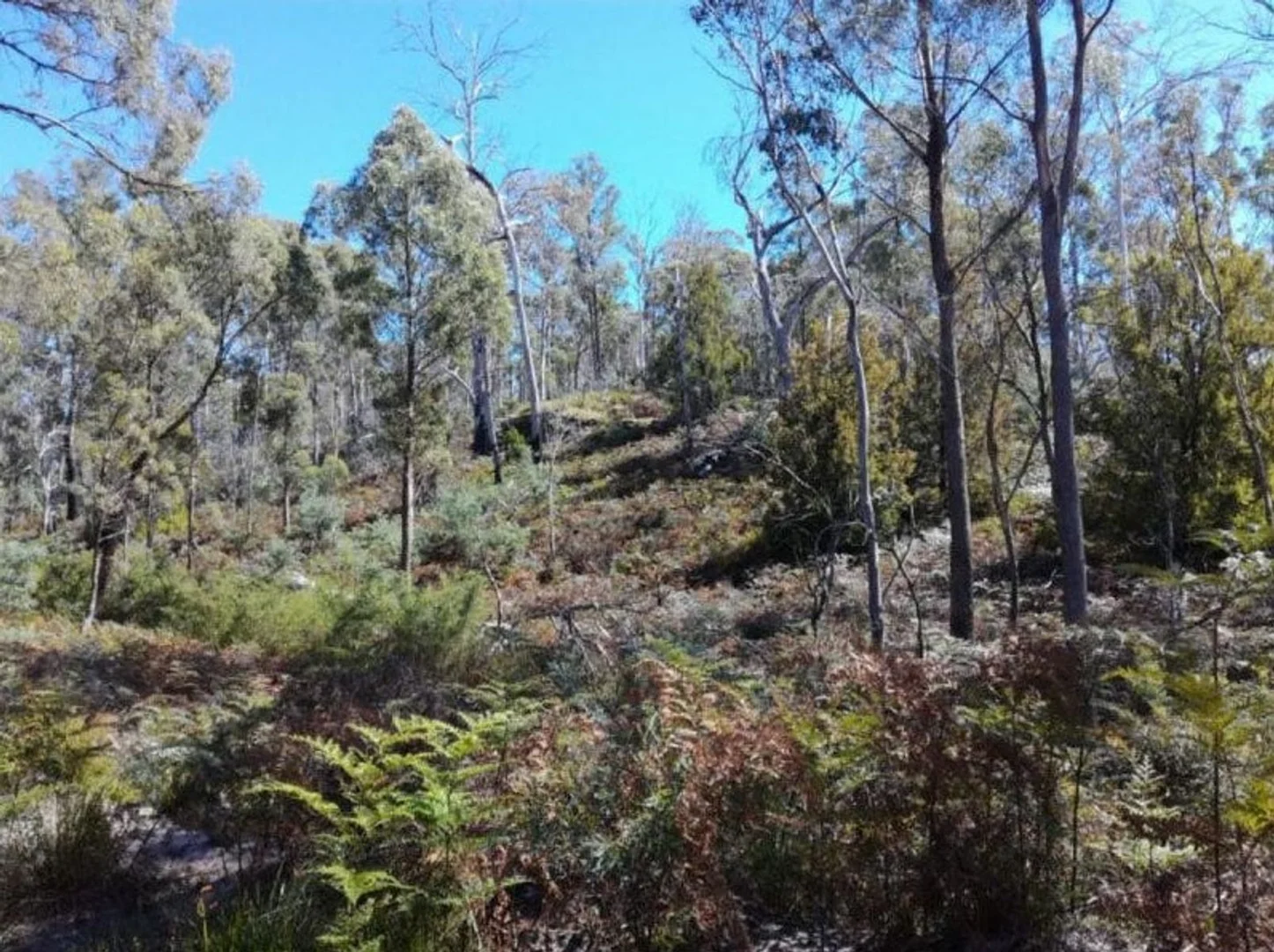 Additional image 13 of 1 Buckland Road, Buckland TAS 7190