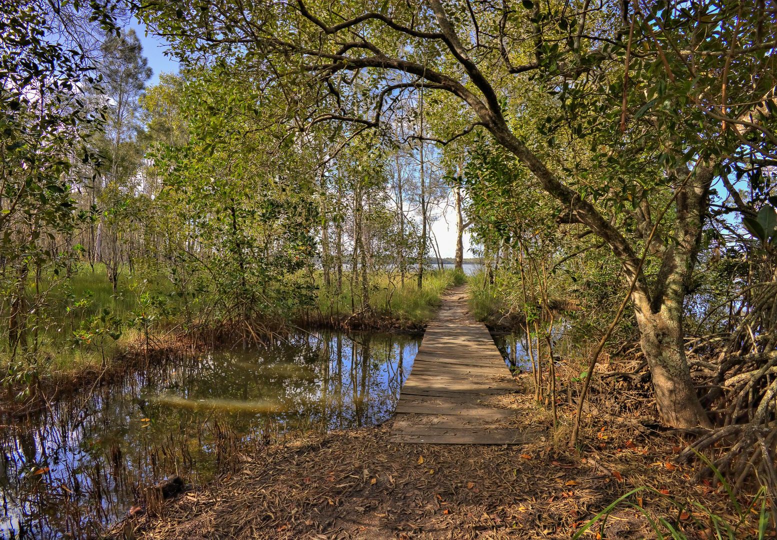40 Lakewood Drive, Peregian Beach QLD 4573 Vacant Land for Sale